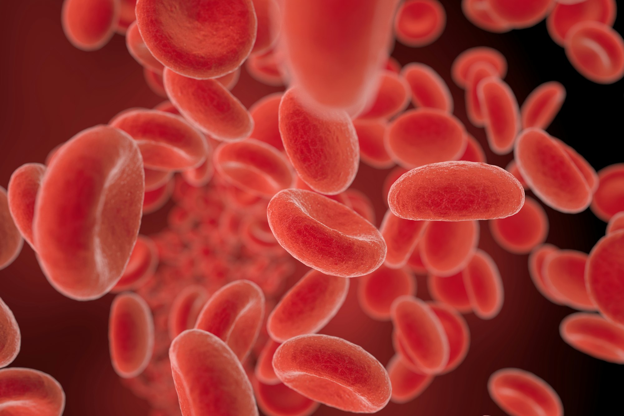 red blood cells flowing in a vessel, 3D illustration
